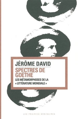 Spectres de Goethe : les métamorphoses de la littérature mondiale - Jérôme David