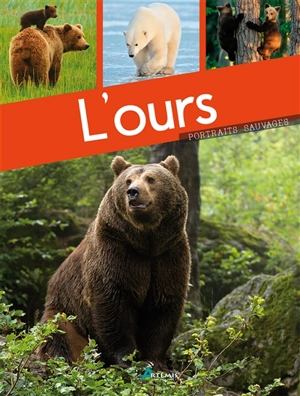 L'ours - Maurice Dupérat