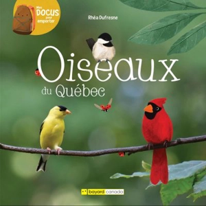 Oiseaux du Québec - Rhéa Dufresne