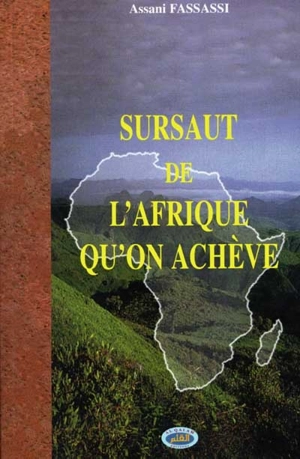 Sursaut de l'Afrique qu'on achève - Assani Fassassi