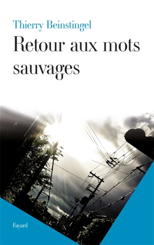 Retour aux mots sauvages - Thierry Beinstingel