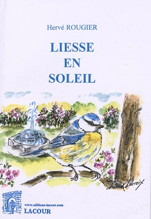 Liesse en soleil - Hervé Rougier