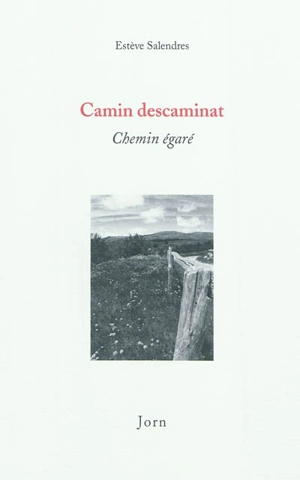 Camin descaminat. Chemin égaré - Estève Salendres