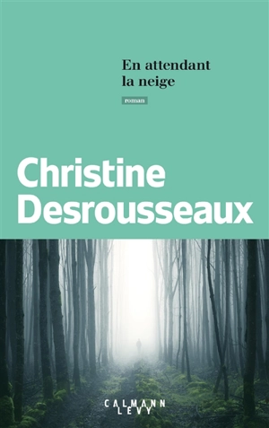 En attendant la neige - Christine Desrousseaux