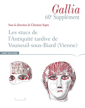 Les stucs de l'Antiquité tardive de Vouneuil-sous-Biard (Vienne)