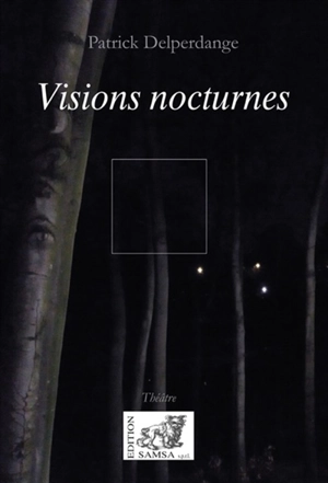 Visions nocturnes - Patrick Delperdange