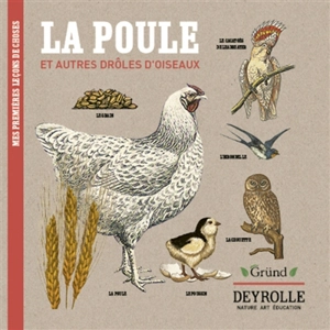 Mes premières leçons de choses. La poule : et autres drôles d'oiseaux - Virginie Aladjidi