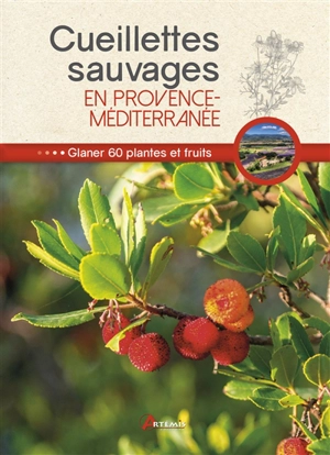 Cueillettes sauvages en Provence-Méditerranée : glaner 60 plantes et fruits