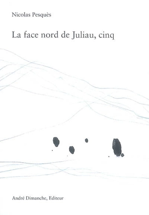 La face nord de Juliau. Cinq - Nicolas Pesquès