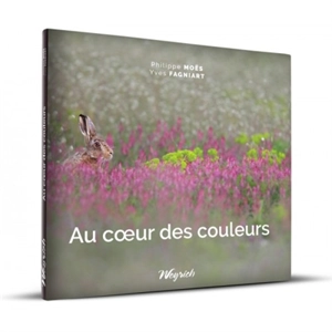 Au coeur des couleurs - Philippe Moës