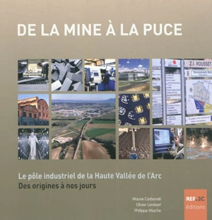 De la mine à la puce : le pôle industriel de la Haute Vallée de l'Arc des origines à nos jours - Mauve Carbonell