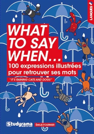 What to say when... : 100 expressions illustrées pour retrouver ses mots - Emilie Fournier