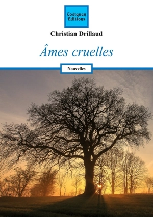 Ames cruelles - Christian Drillaud