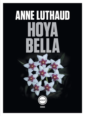 Hoya bella - Anne Luthaud