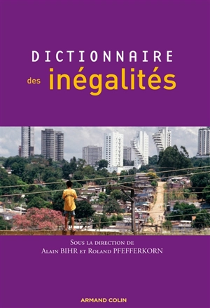 Dictionnaire des inégalités