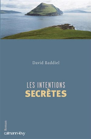 Les intentions secrètes - David Baddiel