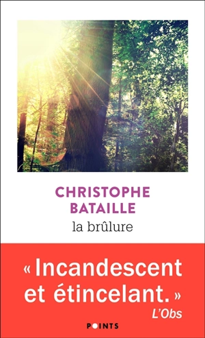 La brûlure - Christophe Bataille