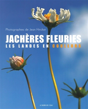 Jachères fleuries : les Landes en couleurs - Jean Hincker