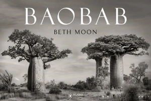 Baobab - Beth Moon