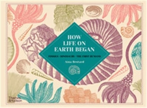 How Life on Earth Began Fossils · Dinosaurs · The First Humans - Aina Bestard