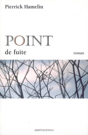 Point de fuite - Pierrick Hamelin