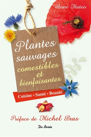 Plantes sauvages comestibles et bienfaisantes : cuisine, santé, beauté - Anne Mateo