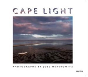 Joel Meyerowitz Cape Light - Joel Meyerowitz