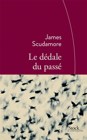 Le dédale du passé - James Scudamore