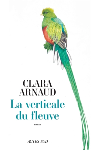 La verticale du fleuve - Clara Arnaud