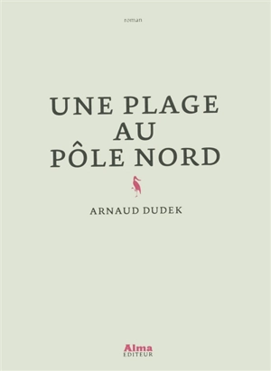 Une plage au pôle Nord - Arnaud Dudek