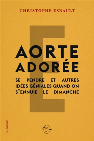 Aorte adorée : se pendre et autres idées géniales quand on s'ennuie le dimanche - Christophe Esnault