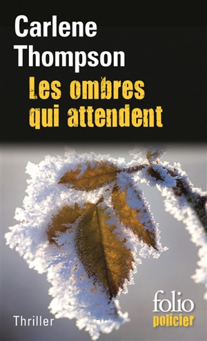 Les ombres qui attendent - Carlene Thompson