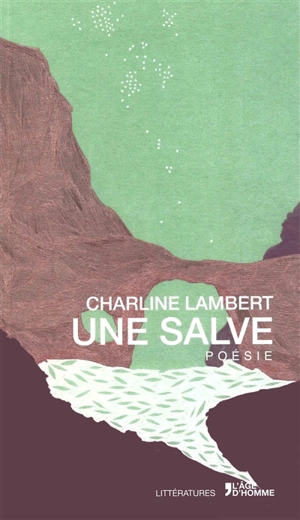 Une salve - Charline Lambert