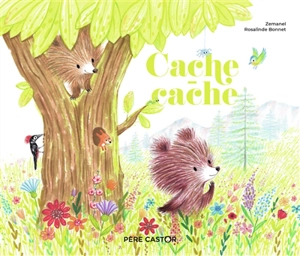 Cache-cache - Zemanel