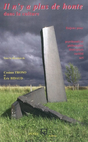 Il n'y a plus de honte dans la culture : enjeux pour psychanalyse, philosophie, littérature, société, art