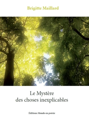 Le mystère des choses inexplicables - Brigitte Maillard