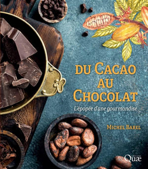 Du cacao au chocolat : l'épopée d'une gourmandise - Michel Barel