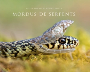 Mordus de serpents - Xavier Bonnet