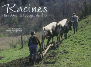 Racines : hier dans les Vosges du Sud - Marc Paygnard