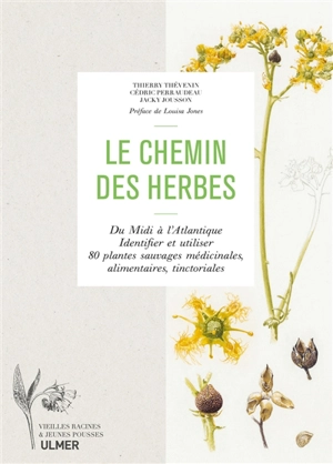 Le chemin des herbes : du Midi à l'Atlantique : identifier et utiliser 80 plantes sauvages médicinales, alimentaires, tinctoriales - Thierry Thévenin