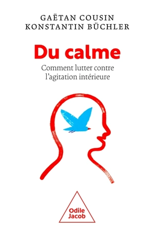 Du calme : comment lutter contre l'agitation intérieure - Gaëtan Cousin