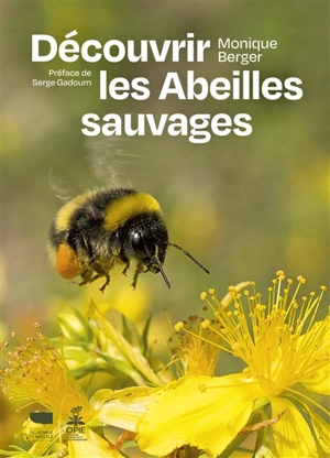 Découvrir les abeilles sauvages - Monique Berger