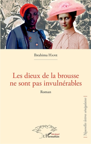 Les dieux de la brousse ne sont pas invulnérables - Ibrahima Hane