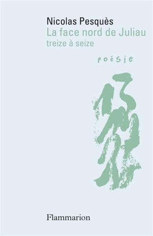 La face nord de Juliau. Treize à seize - Nicolas Pesquès