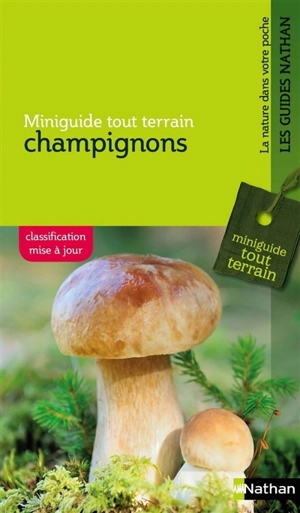 Champignons