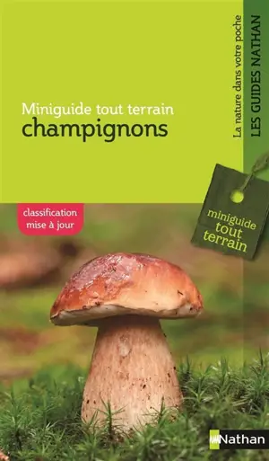 Champignons - Helga Hofmann