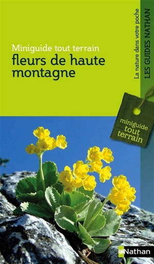 Fleurs de haute montagne - Wolfgang Lippert