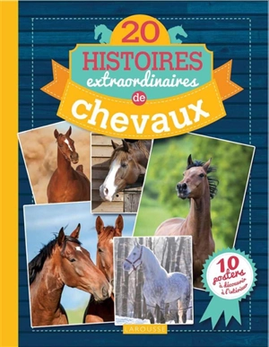 20 histoires extraordinaires de chevaux - Olivier Lhote