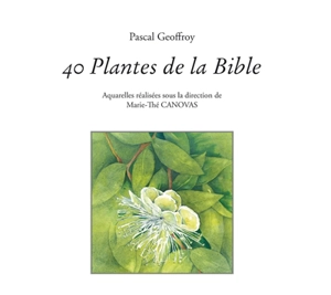 40 plantes de la Bible - Pascal Geoffroy