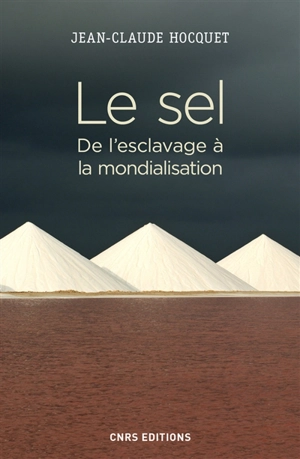 Le sel : de l'esclavage à la mondialisation - Jean-Claude Hocquet